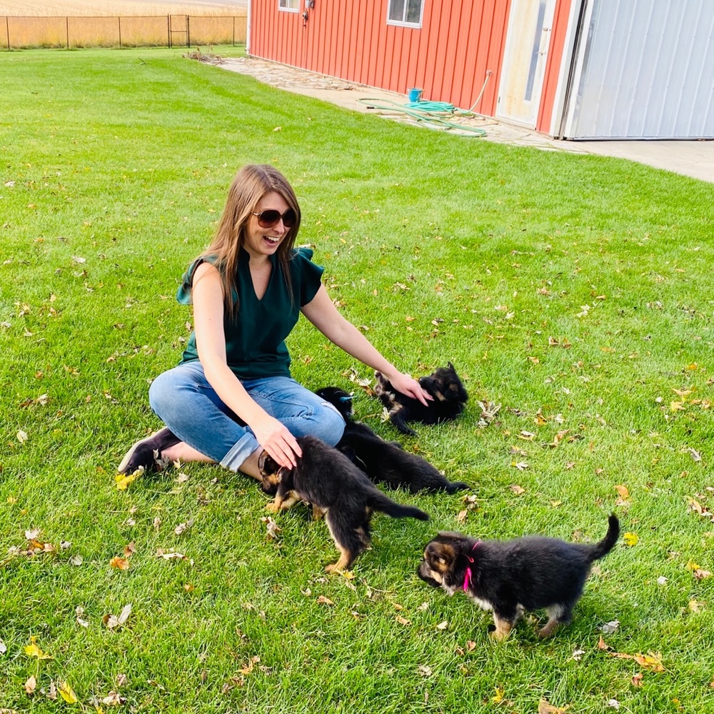 Meet your Posher, Taylor